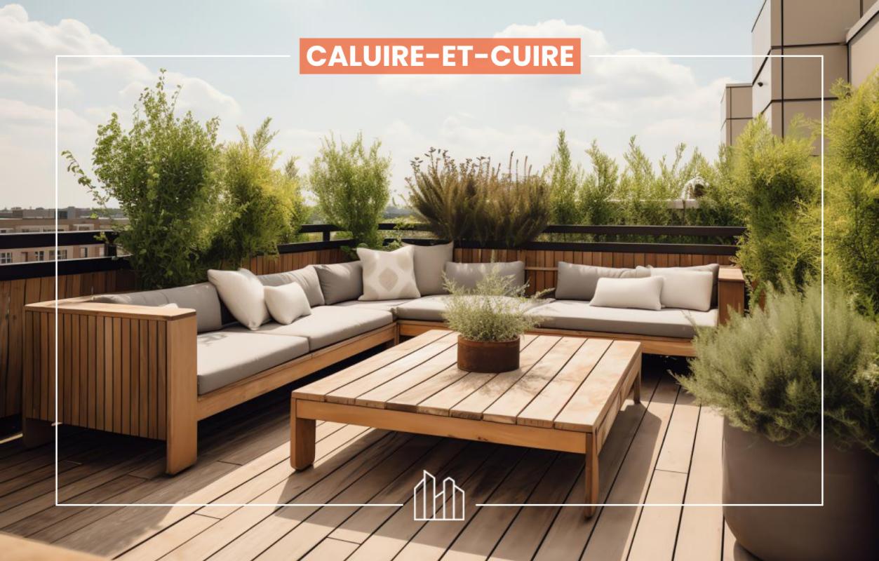   Appartement neuf Caluire-et-Cuire 69300