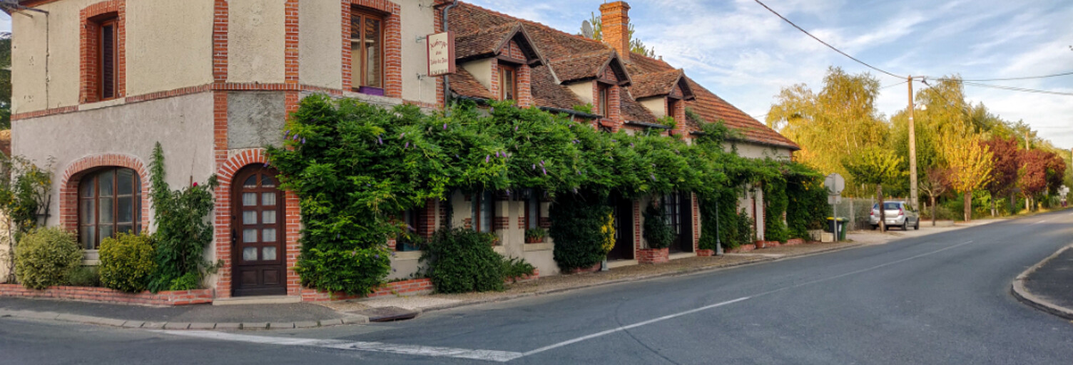 Immeuble  340 m² à vendre à La Ferté-Saint-Cyr (41220)