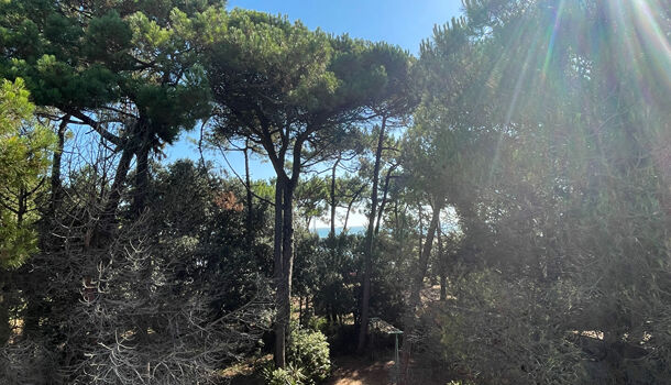 Villa / Maison 6 pièces  à vendre Saint-Georges-d'Oléron 17190
