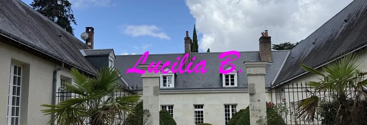 Maison 11 Pièces 320 m² à vendre à Saint-Avertin (37550)