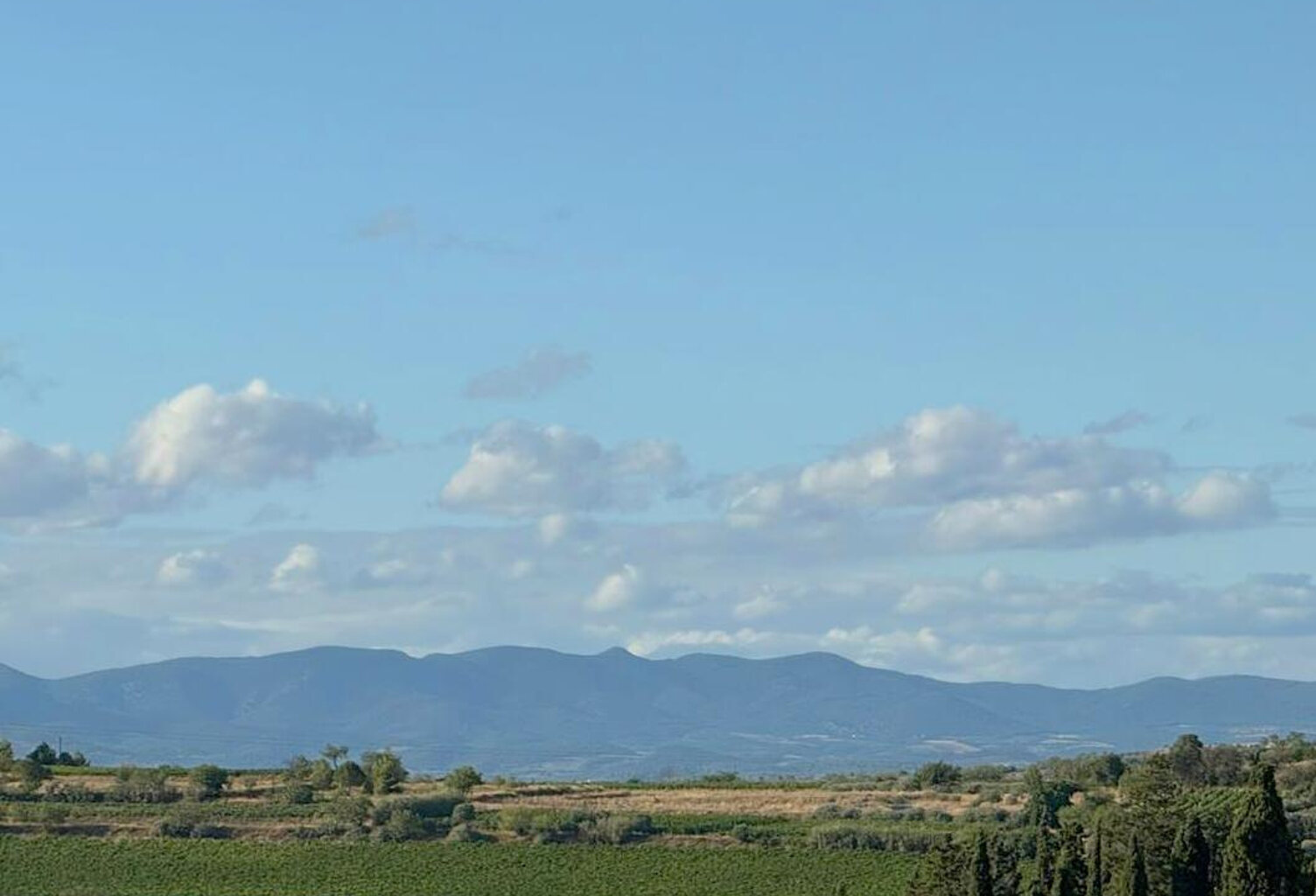 A Vendre Montady 10mn de Beziers et des accès A9 et A75. Exc — photo 1