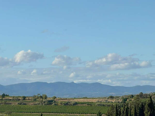 A Vendre Montady 10mn de Beziers et des accès A9 et A75. Exc — photo du bien