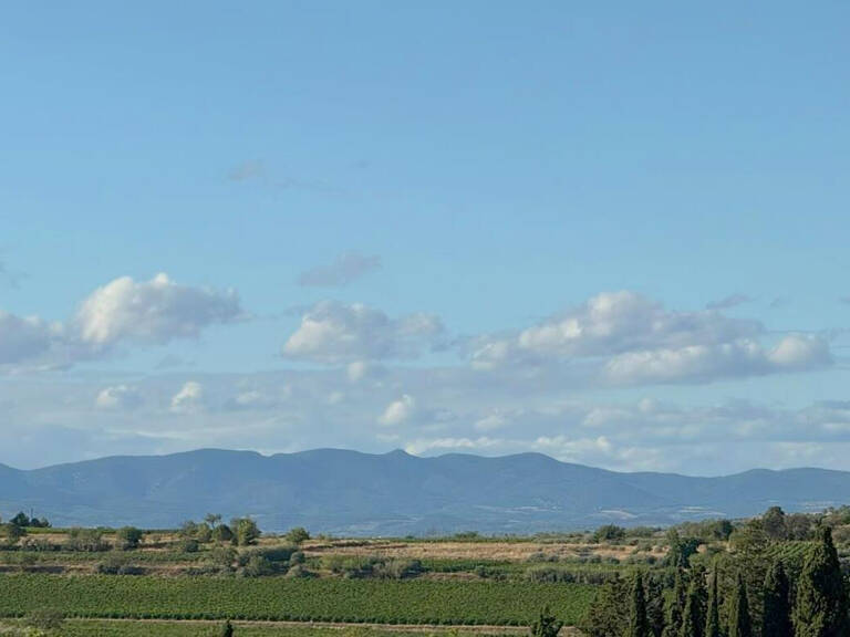 A Vendre Montady 10mn de Beziers et des accès A9 et A75. Exc — photo 1