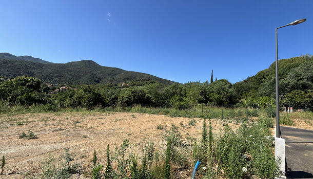 Terrain  à vendre Céret 66400