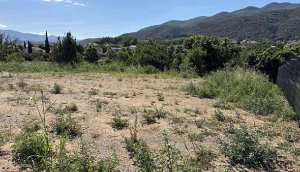 Terrain  à vendre Céret 66400