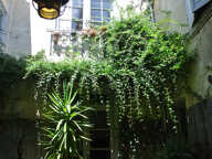 Plein coeur de Sainte Bazeille maison avec patio, garage et — photo 2