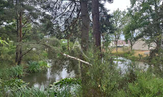 Terrain  3937 m² à vendre à Saint-Martin-d'Abbat (45110)