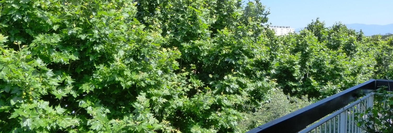 Appartement 3 Pièces 73 m² à vendre à Perpignan (66000)