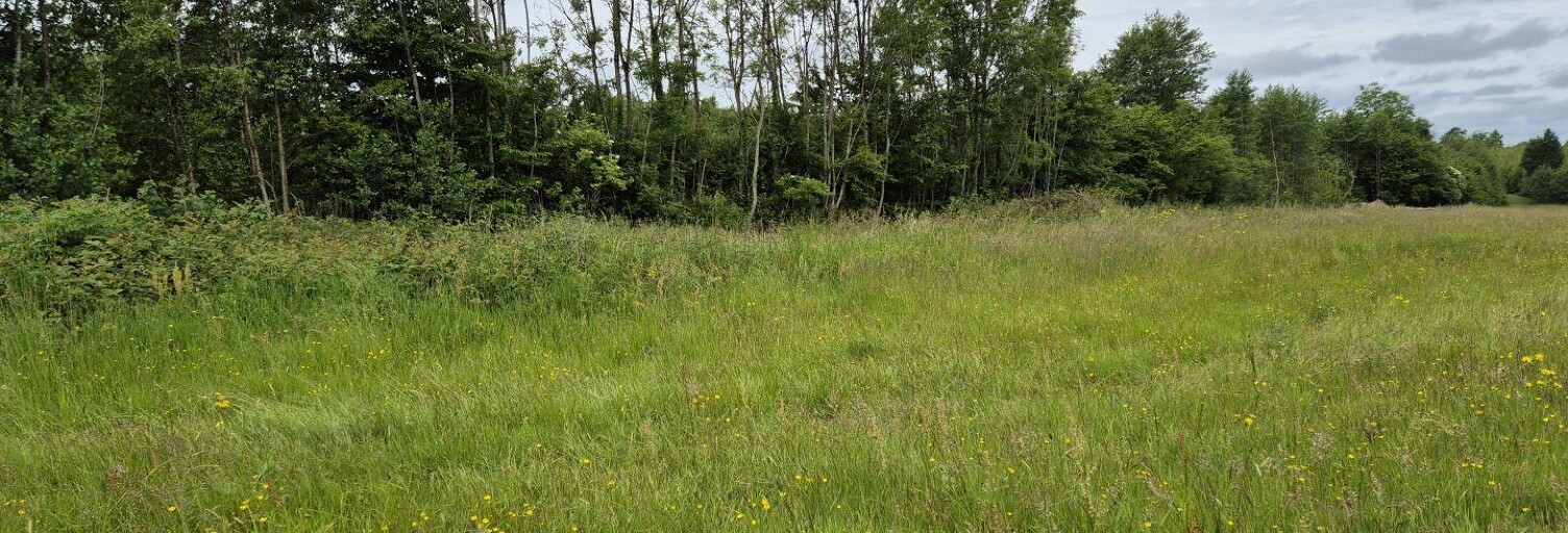 Terrain  7600 m² à vendre à Rocroi (08230)