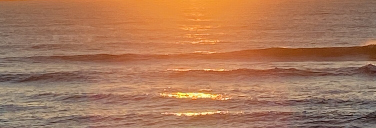 Appartement 1 Pièce 28 m² à vendre à Saint-Julien-en-Born (40170)