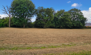 Terrain  4332 m² à vendre à Peillac (56220)