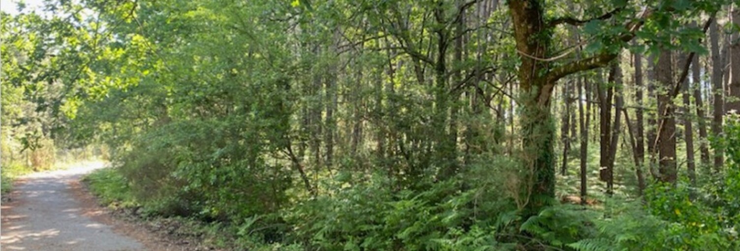 Terrain  508 m² à vendre à Sanguinet (40460)