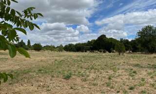 Terrain  1483 m² à vendre à Pont-l'Abbé-d'Arnoult (17250)