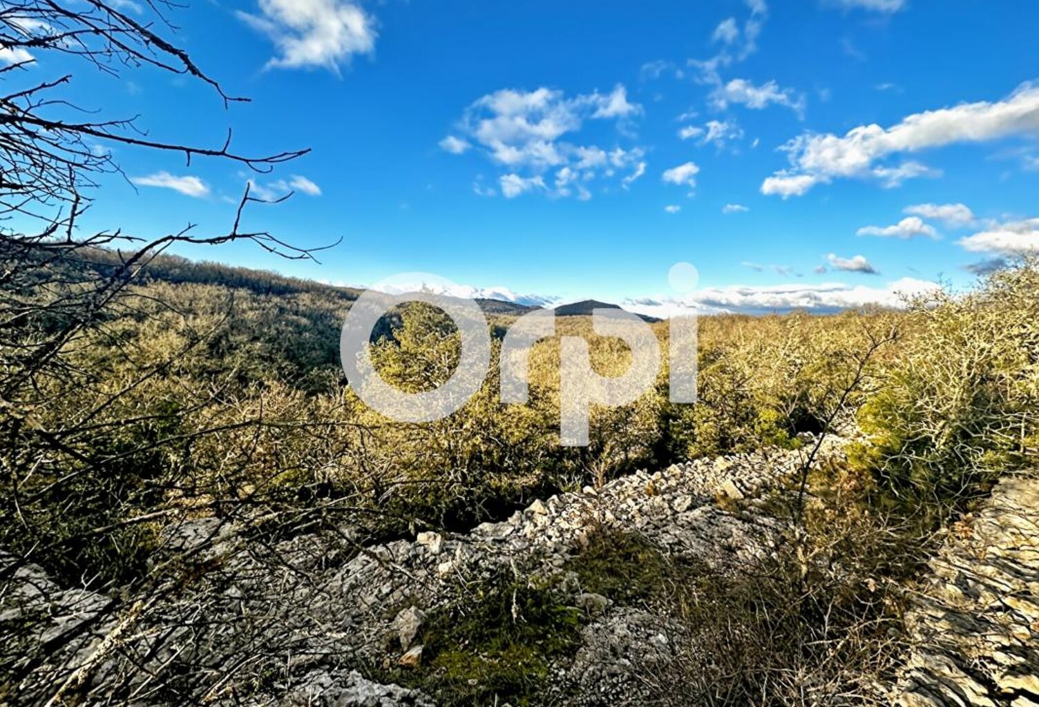 Terrain secteur Saint Paul Le Jeune — photo 1