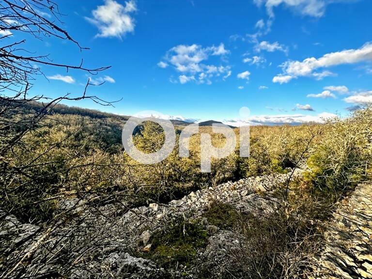 Terrain secteur Saint Paul Le Jeune — photo 1