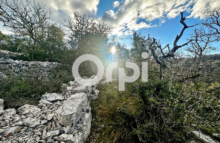 Terrain secteur Saint Paul Le Jeune — photo 2