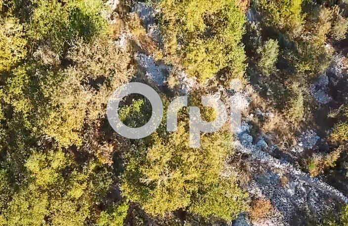 Terrain secteur Saint Paul Le Jeune — photo 3