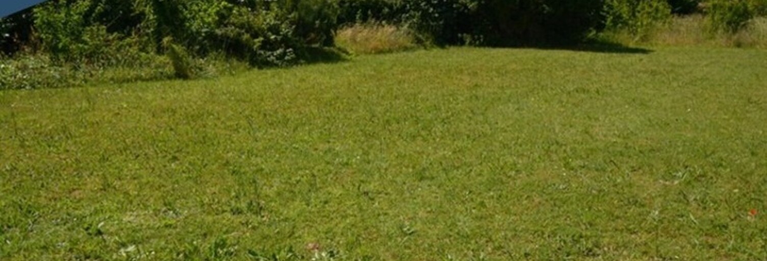 Maison 543 m² en viager Saint-Pierre-d'Oléron (17310)