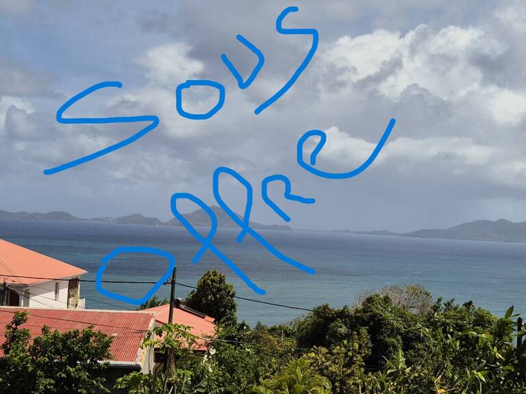 Pépites du mois. Deux Appartements plus terrain 800 m², vue panoramique vers les Saintes, à vendre 3 pièces TROIS RIVIERES (971) — photo 1
