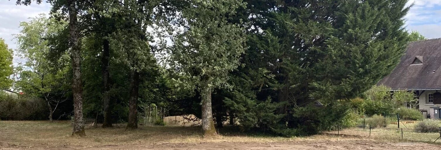 Terrain  1003 m² à vendre à Ballan-Miré (37510)