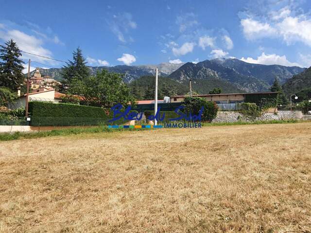 TRES BEAU TERRAIN CONSTRUCTIBLE — photo du bien