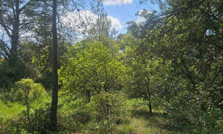 Terrain  2950 m² à vendre à Laval-Pradel (30110)