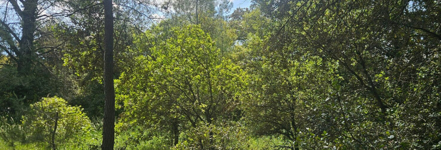 Terrain  2950 m² à vendre à Laval-Pradel (30110)