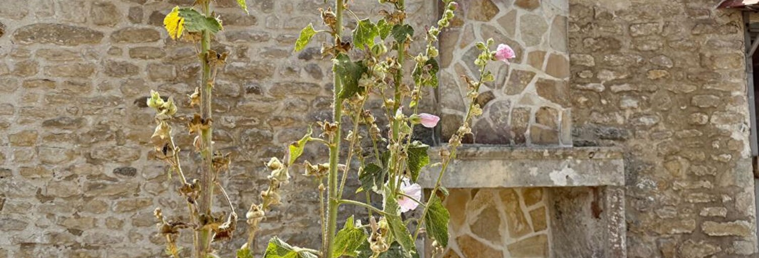 Maison 5 Pièces 121 m² à vendre à Loix (17111)