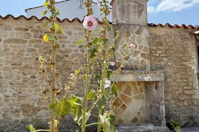 Maison 5 pièces 790000 €