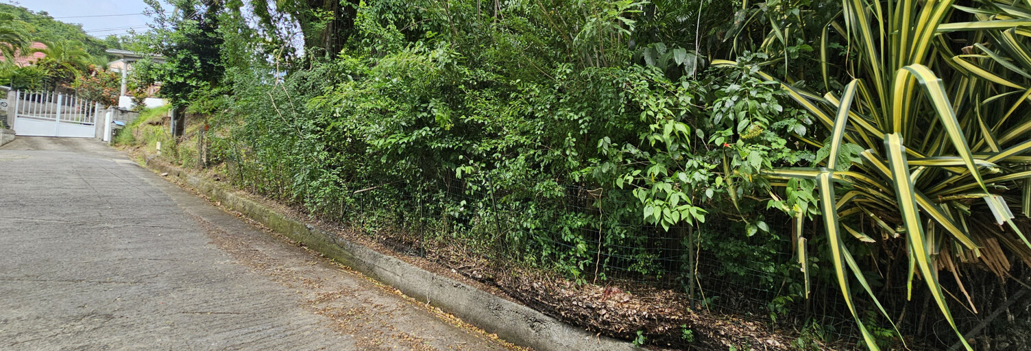 Terrain  3578 m² à vendre à Schœlcher (97233)