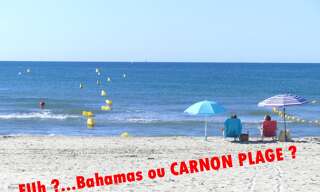 Appartement 2 Pièces 49 m² à vendre à Mauguio (34130)