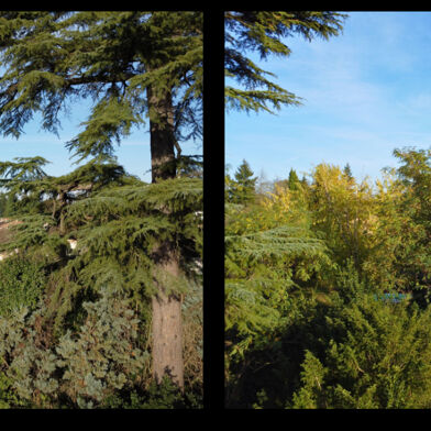 Appartement 2 pièces 165000 €