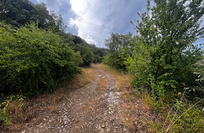 La voulte Parcelle boisée de 23593m² — photo 2