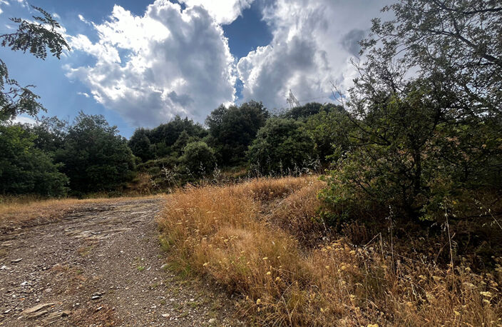 La voulte Parcelle boisée de 23593m² — photo 3