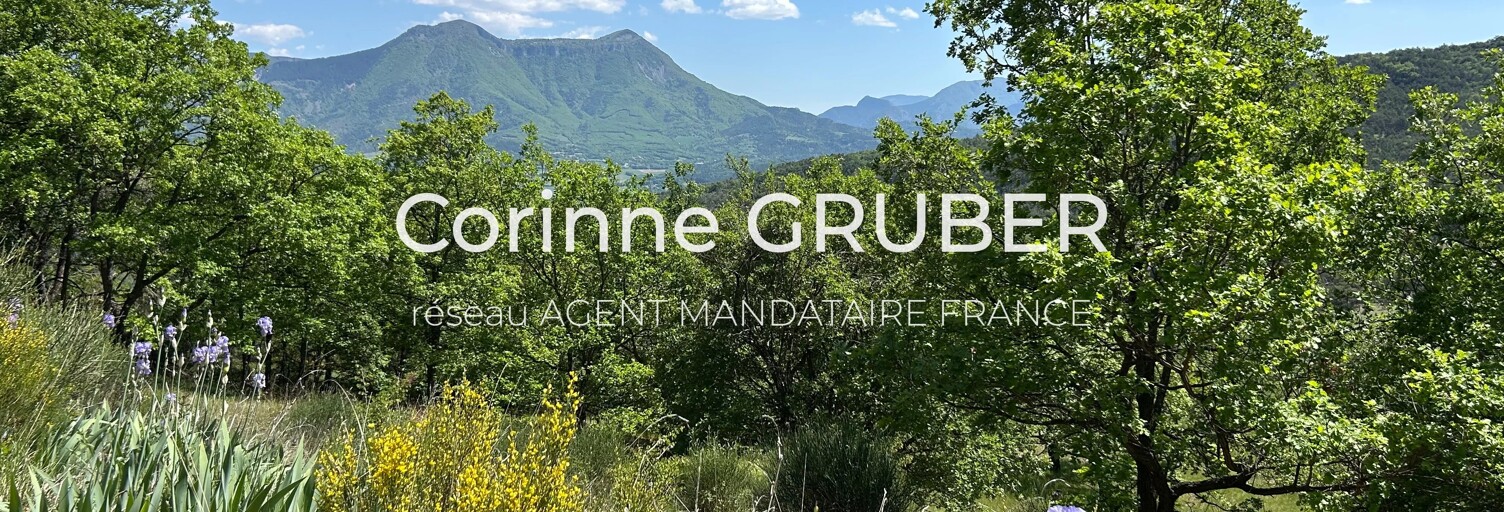 Maison 13 Pièces 335 m² à vendre à Digne-les-Bains (04000)