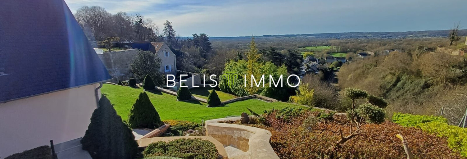 Maison 11 Pièces 229 m² à vendre à Chinon (37500)