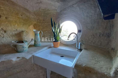 Maison 11 pièces 494145 €