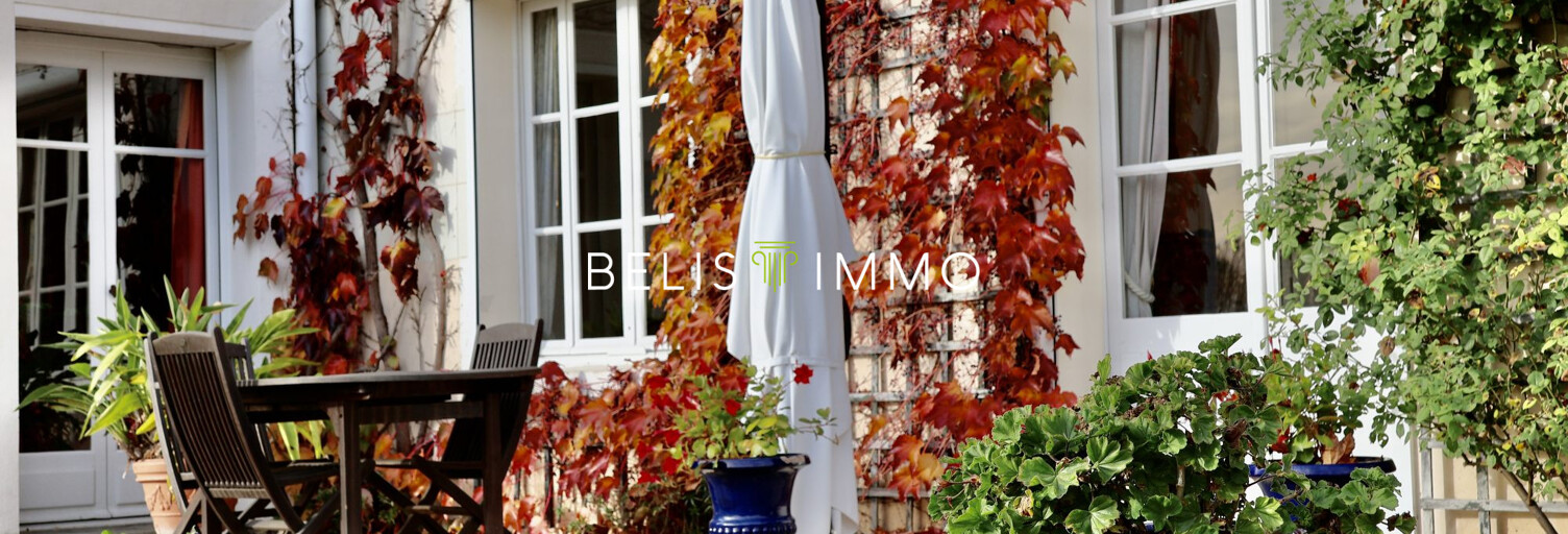 Maison 11 Pièces 288 m² à vendre à Chinon (37500)