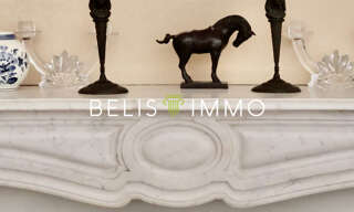 Maison 11 Pièces 288 m² à vendre à Chinon (37500)