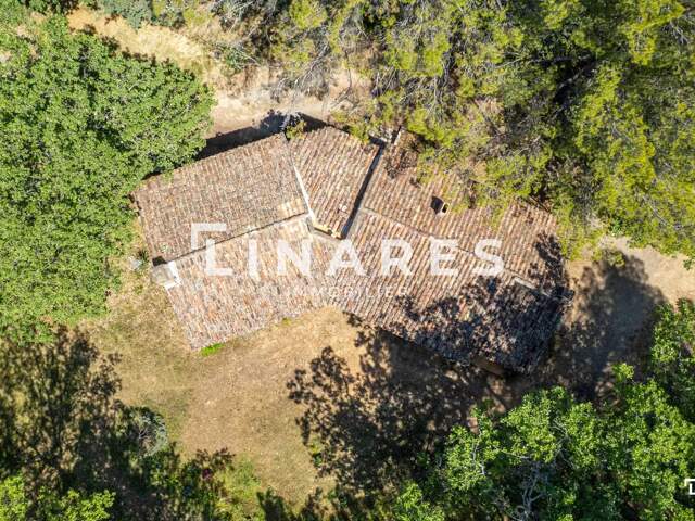 MA TRANQUILITE - Maison T3 de 94m2 - Garage - Terrain de 8142m2 — photo du bien