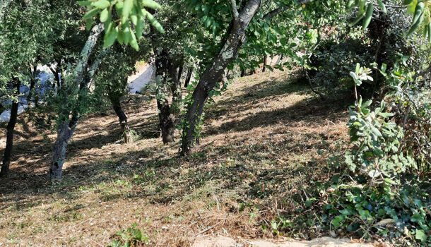 Villa / Maison 4 pièces  à vendre Reynès 66400