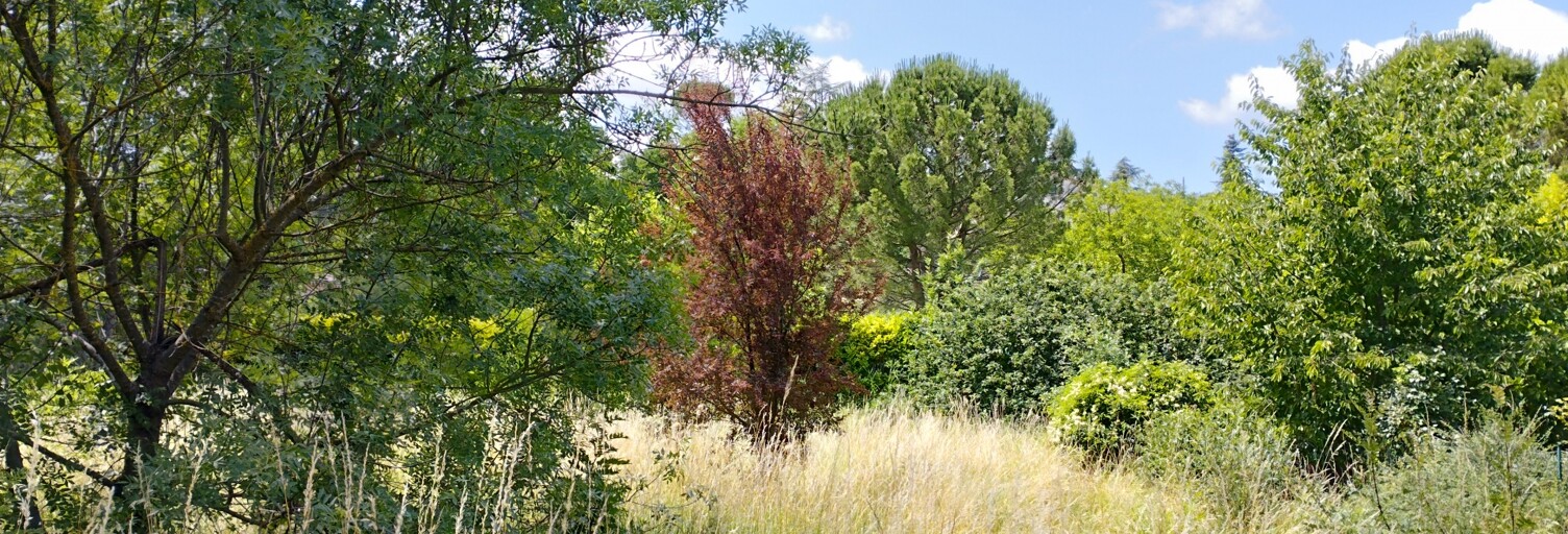 Terrain  745 m² à vendre à Aouste-sur-Sye (26400)