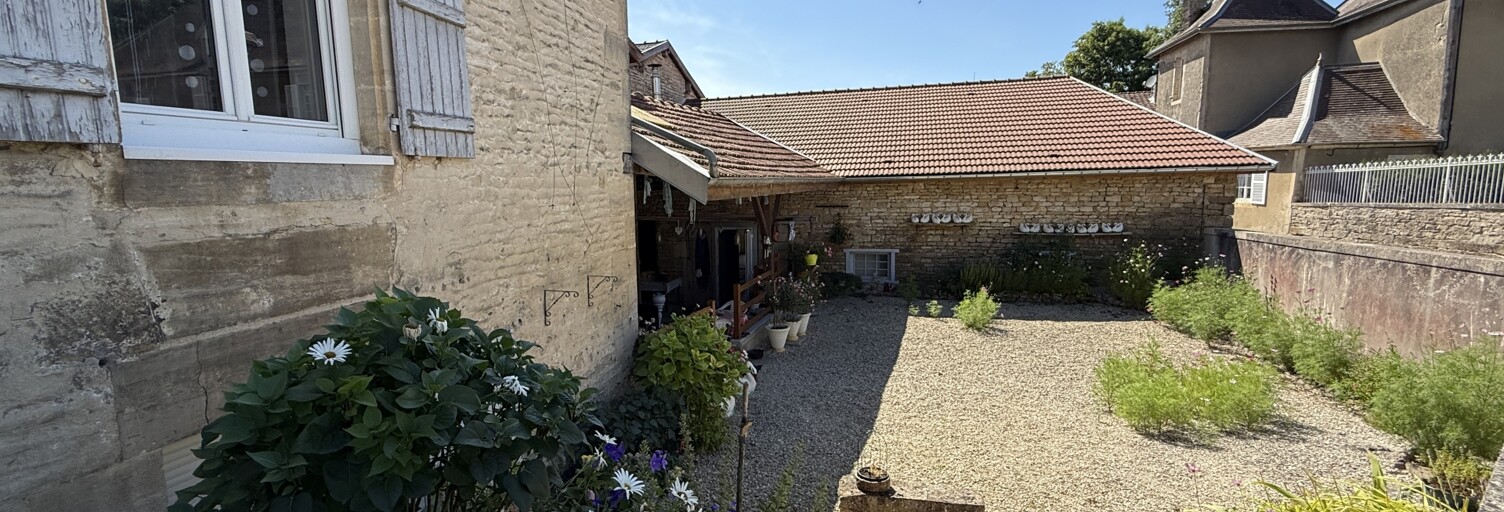 Maison 7 Pièces 228 m² à vendre à Dommartin-le-Franc (52110)