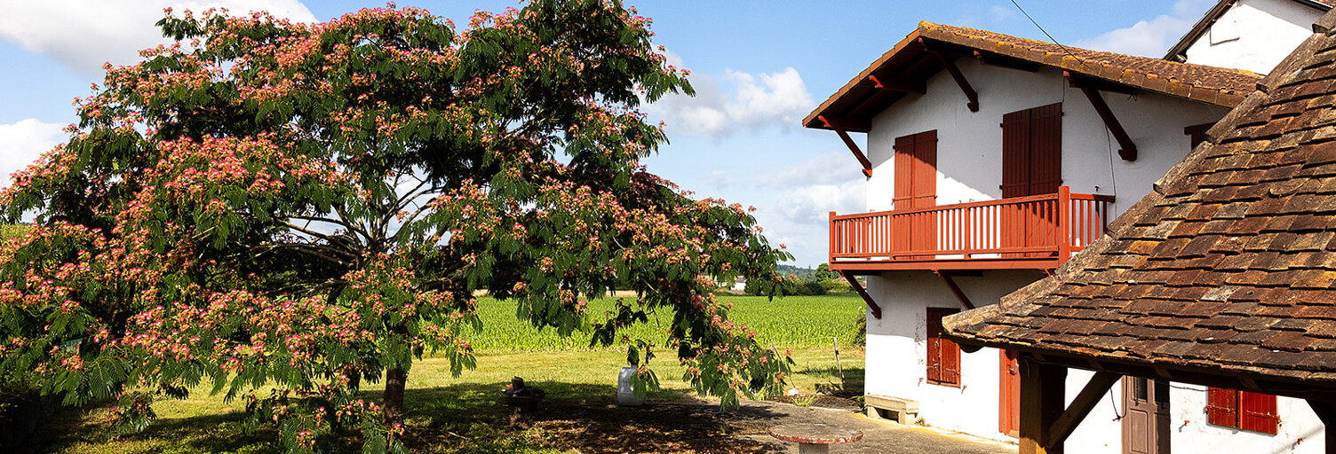 Maison 5 Pièces 125 m² à vendre à Athos-Aspis (64390)