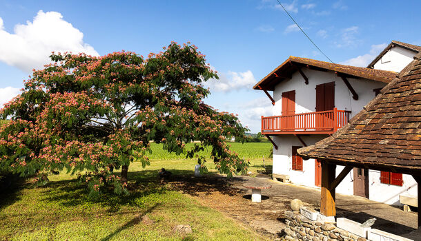 Villa / Maison 5 pièces  à vendre Athos-Aspis 64390