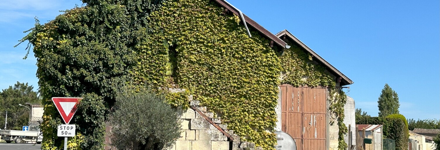 Photo N° 2