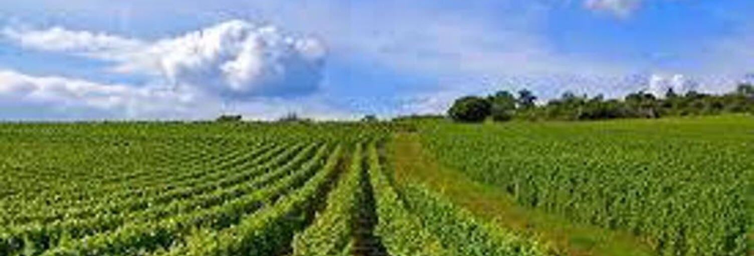 Terrain  128620 m² à vendre à Saint-Aignan (41110)