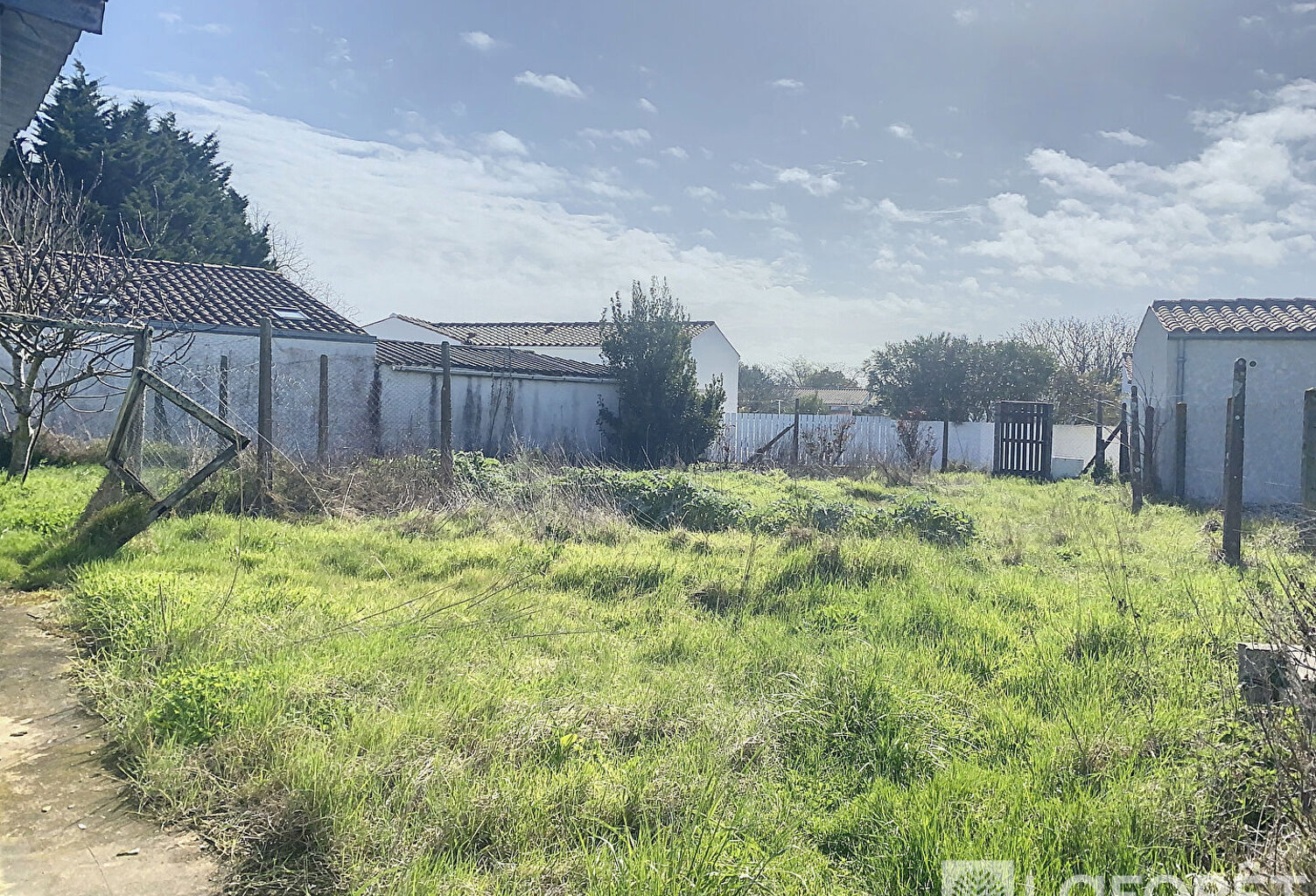 ILE D'OLERON — photo 1