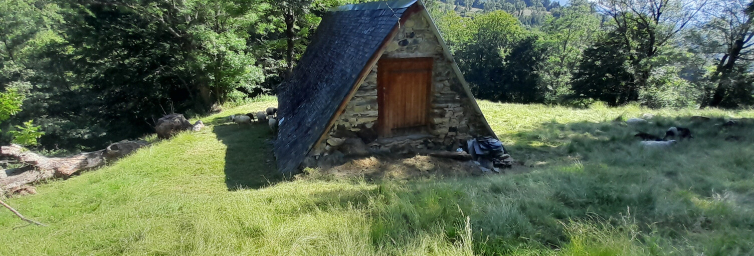 Maison 1 Pièce 55 m² à vendre à Arrens-Marsous (65400)