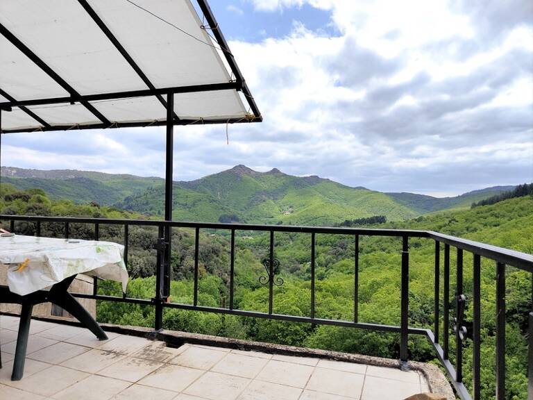 Mas avec terrasse et terrain — photo 1